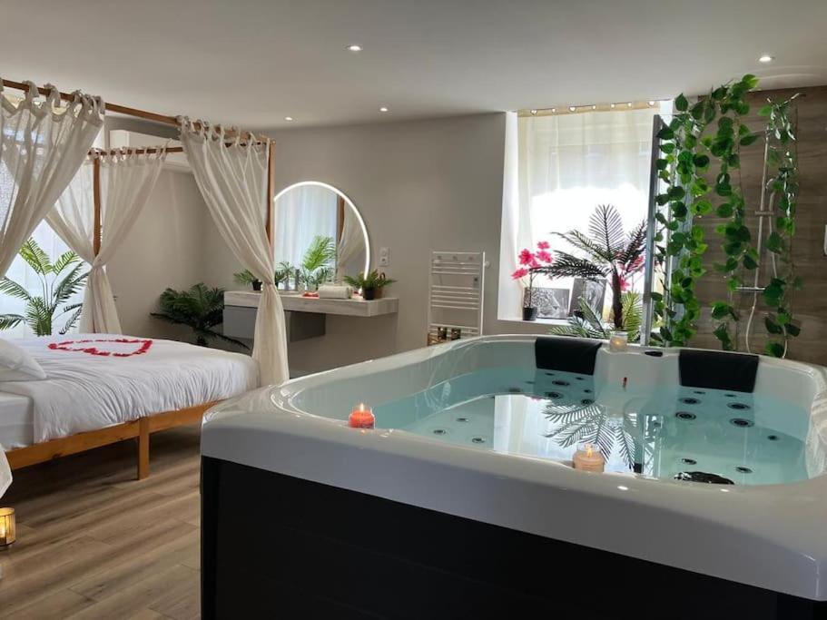 Jungle Secret Spa Nuit Insolite Giromagny Eksteriør billede